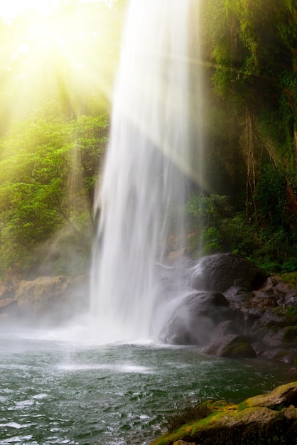 Waterval in oerwouden met zon