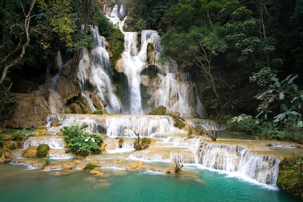Waterval in tropisch bos bij Kuang-si waterdaling van Luang-prabang, Laos.