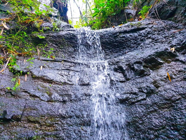 Waterval in tropisch bos helder water natuurlijk mooi en koel