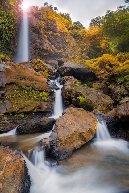 Waterval in tropisch bos Indonesië