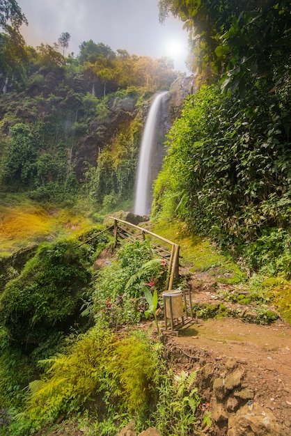 Waterval in tropisch bos indonesië