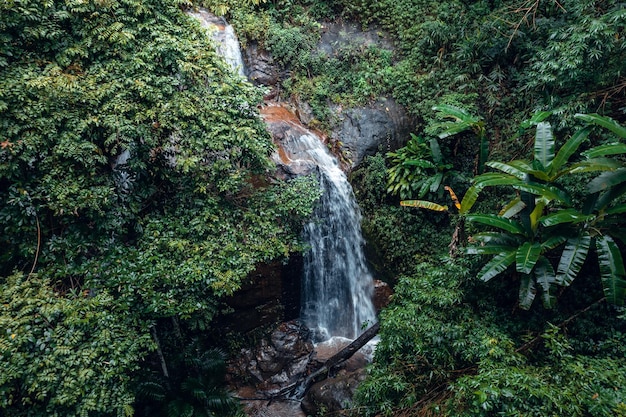 Waterval in tropisch boswaterval in jungle