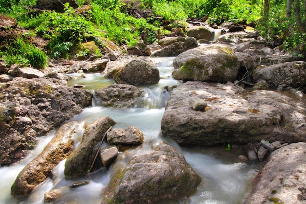 Waterval in zomerbos