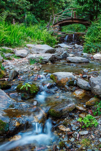 Waterval. Jibi, Himachal Pradesh