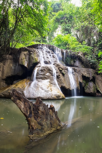 Waterval klif met log in regenwoud