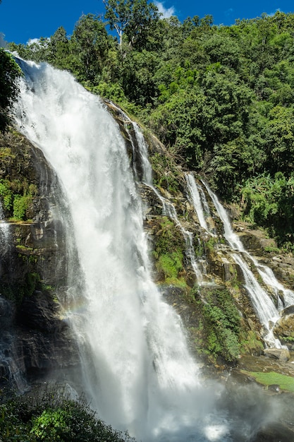 Waterval met rotsen in het midden van de jungle