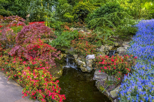 Waterval met roze en blauwe bloemen Keukenhof Park Lisse in Holland