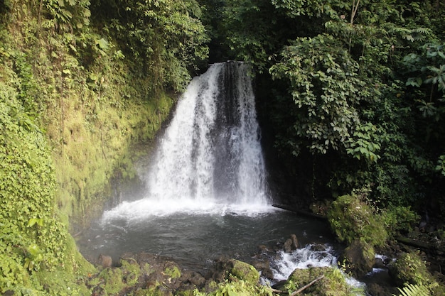 Waterval naast de vulkaan la frontera in monteverde costa rica