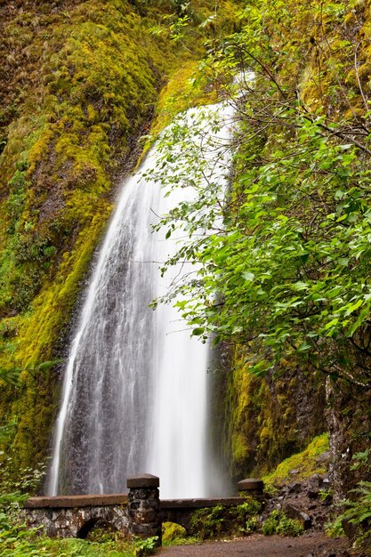 Waterval op Colombia