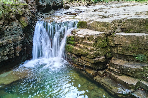 Waterval op de bergrivier met wit schuimend water dat uit rotsformaties in het zomerbos valt.