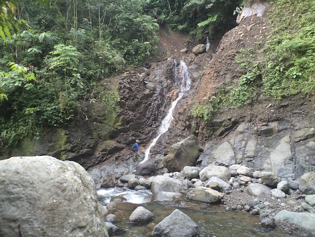 Waterval op tropisch regenwoud met vegetatie en rots in Indonesië