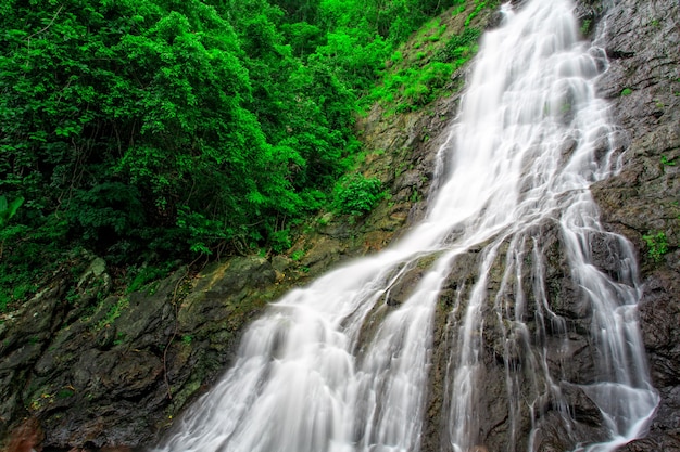 Waterval stroomt op rots met groene boom