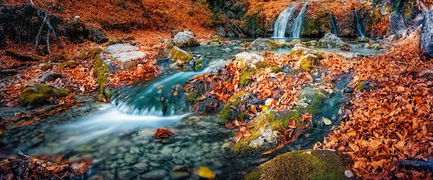 Watervalcascade in het bos in de herfst onder de gevallen kleurrijke heldere bladeren.