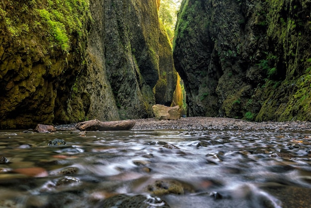 Watervallen in de Columbia River Gorge