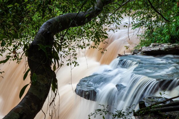 Watervallen van bergstroom glad water over watervallen