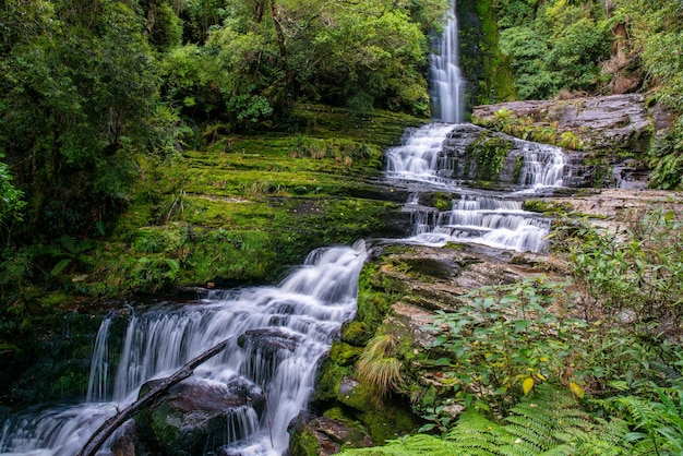 Watervalmagie in het bospark Catlins