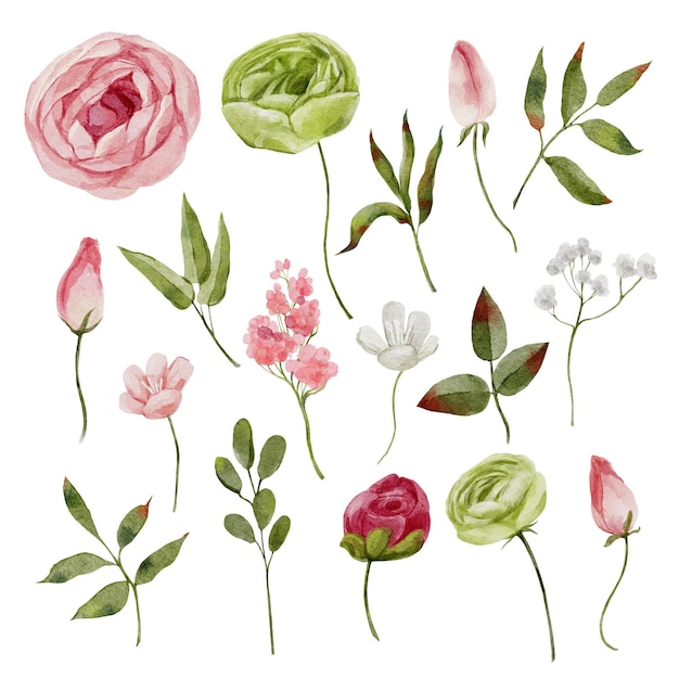Waterverf botanische sert met roze bloemen