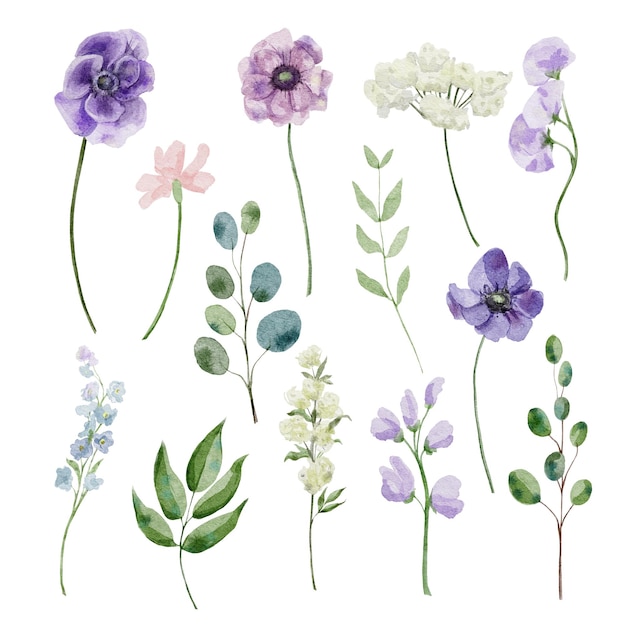 Waterverf botanische sert met zeer peri bloemen