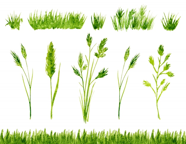 Waterverf groen gras dat op geïsoleerd wit wordt geplaatst