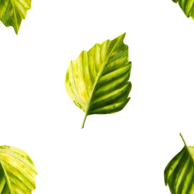 Waterverf naadloos patroon met groene herfst- en zomerbladeren illustratie geïsoleerd op de achtergrond