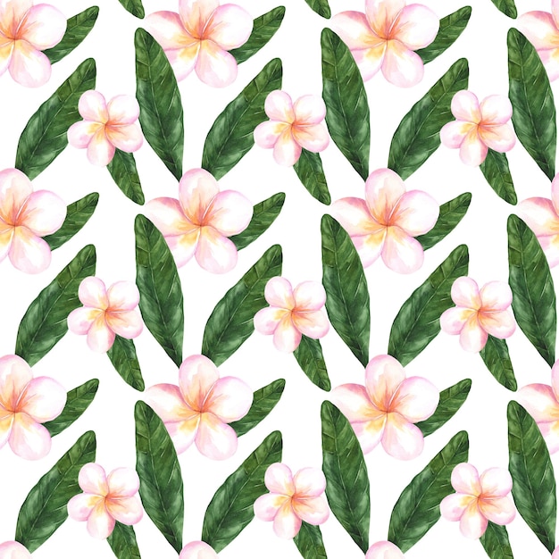 Waterverf naadloos patroon met plumeriabloemen Tropische planten en bloemen