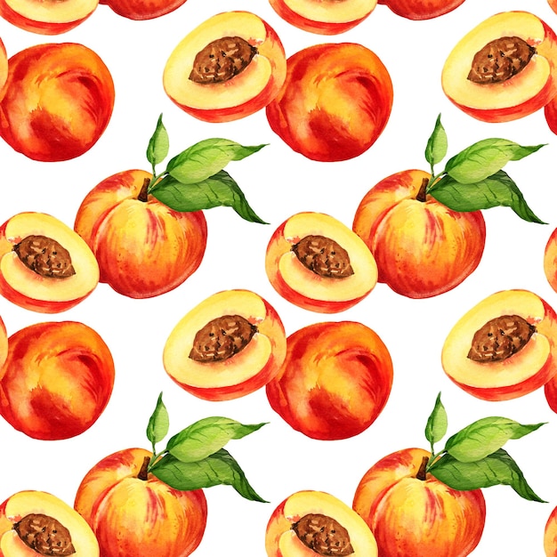 waterverf naadloos patroon met zomerfruit perzik of abrikoz nectarine helft en plakjes perzik en groene bladeren voedsel illustratie schets van zoet voedsel geïsoleerd op witte achtergrond