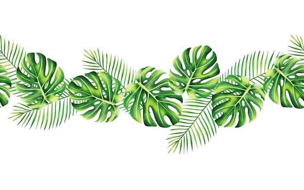 Waterverf naadloze grens met realistische tropische bladeren Illustratie van monstera caladium ficus lea