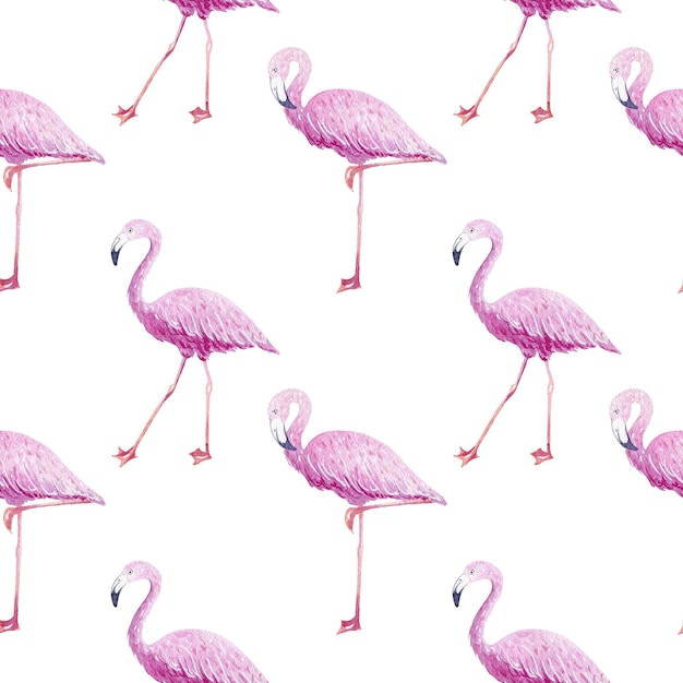 Waterverf tropisch naadloos patroon met roze flamingo