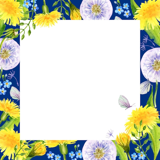 waterverf wit frame met zomer veld bloemen hand tekenen illustratie van gele paardenbloemen en blaasballen bladeren kruiden vlinder op blauwe achtergrond