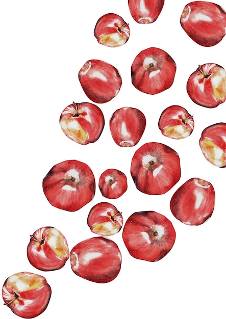 Waterverf zet een rode, sappige rijpe appel voor het ontwerp van ansichtkaartenpakketten