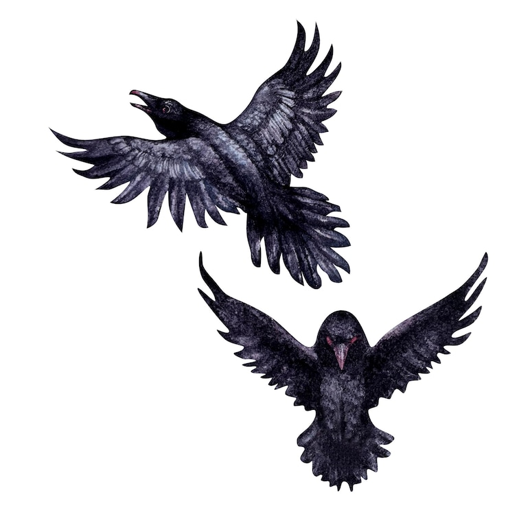 Foto waterverf zwarte raven met open vleugels in vlucht sjabloonontwerp voor halloween prenten sprookjes