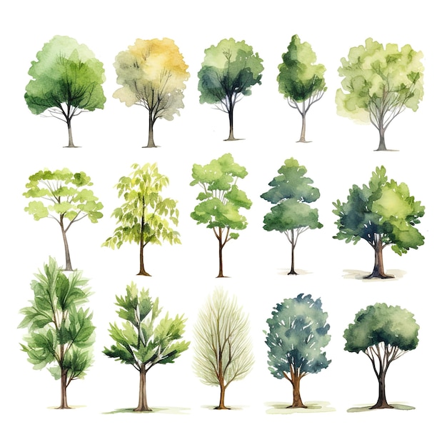 Waterverfcollectie van verschillende boomsoorten die verschillende seizoenen en omgevingen vertegenwoordigen