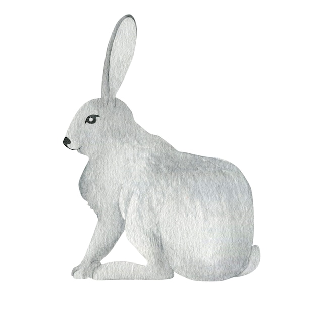 Waterverfillustratie van een wit konijn dat op een witte achtergrond wordt geïsoleerd