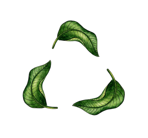 Waterverfillustratie van groene bladeren in de vorm van een recyclingbord Hergebruik van een milieuontwerpsymbool Een nutteloze levensstijl Geïsoleerd op een witte achtergrond Met de hand getekend