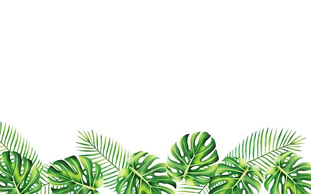 Waterverfkader met realistische tropische illustratie van monstera en palm die op witte backgr wordt geïsoleerd