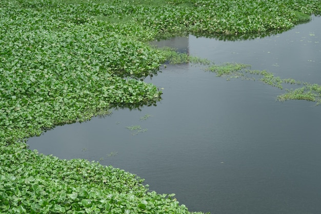 Watervervuiling met afval op water