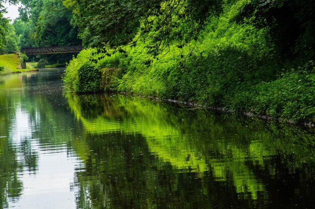 Photo waterway of digoin roannebriennonloirefrance