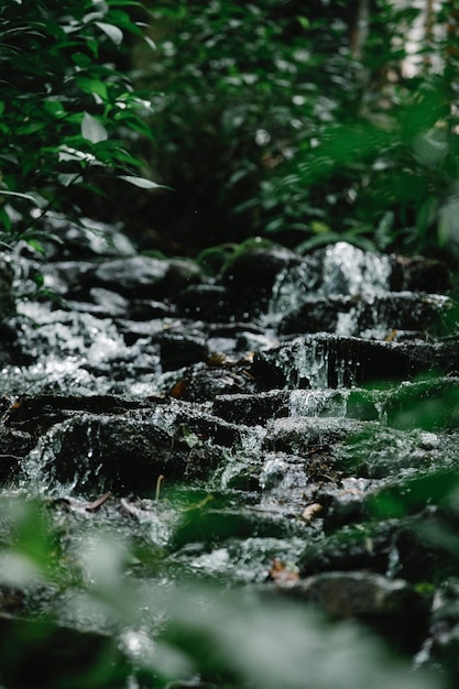 Photo watery mountain