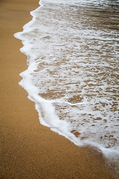 Wave on the beach