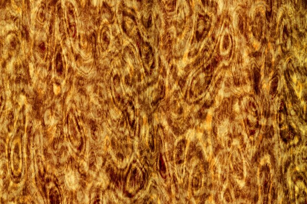 Photo wave burl wood texture design