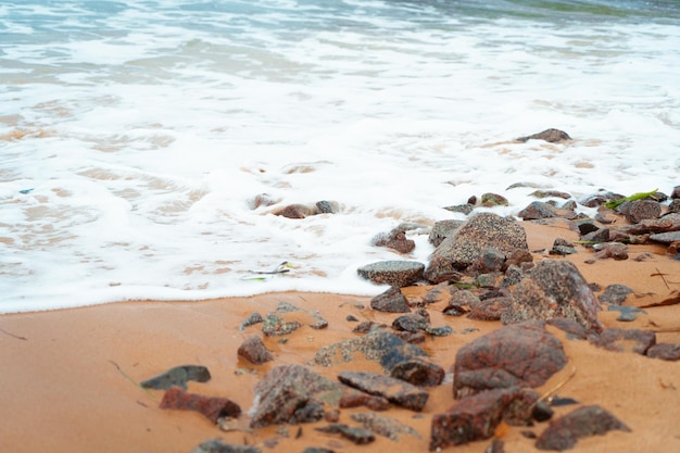 Wave covering the sea