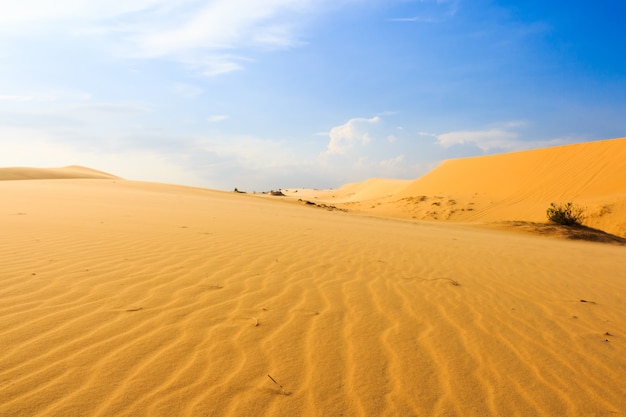 Wave on desert at Mui Ne South Vietnam