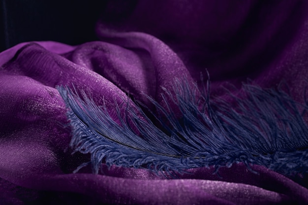 Wave of elegant violet textile texture with fine blue feather.  Beautiful, delicate and gentle background