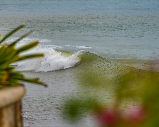 A wave is crashing on the beach