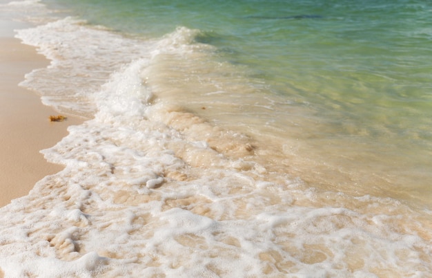 A wave is rolling in on the beach