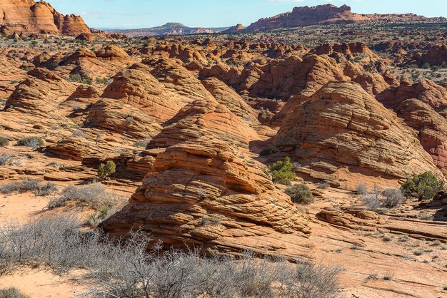 Foto the wave in north coyote buttes