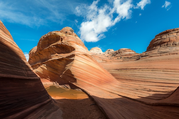 The Wave in North  Coyote Buttes