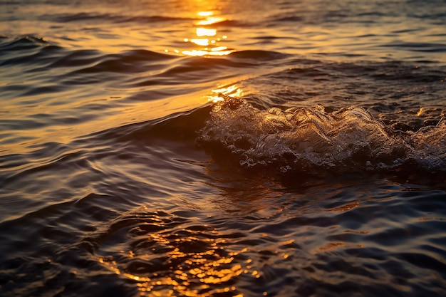 Wave in the ocean with the sun setting behind it