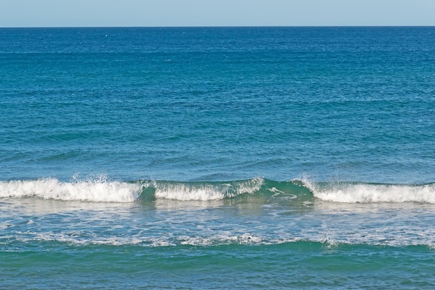 Wave in Platamona beach Sardinia