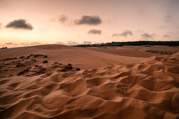 Wave of sandy desert in evening